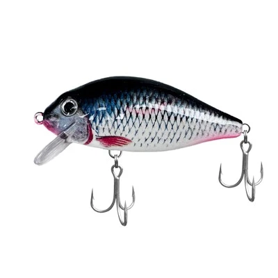 Flytande Minnow-bete